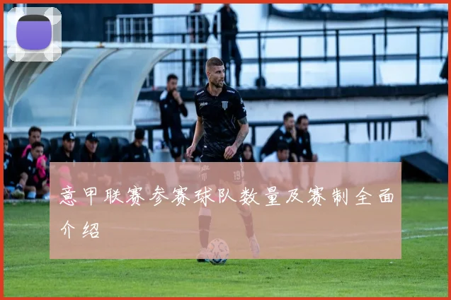 意甲联赛参赛球队数量及赛制全面介绍