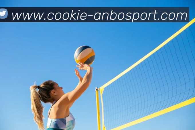 安博体育全站App 安博体育全站App